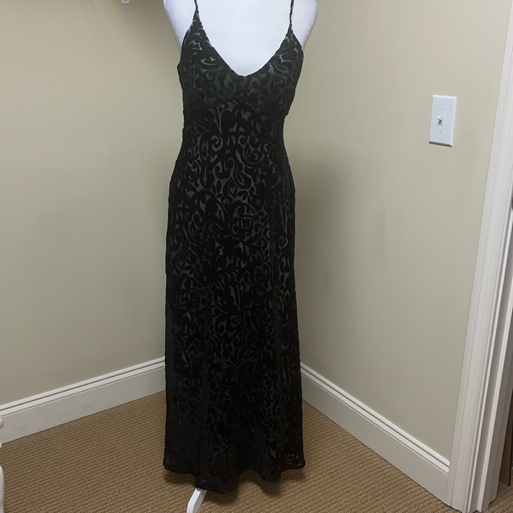 Silk Dress With Velvet Overlay. Never Worn. Lined. Beautiful.